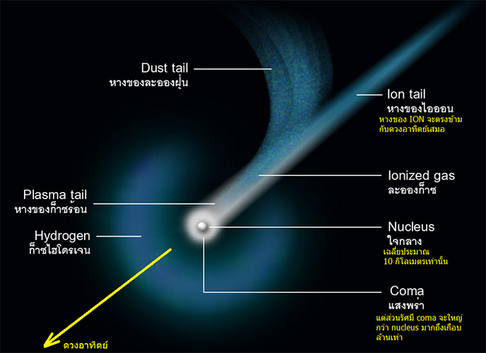 Dust tail and Ion tail